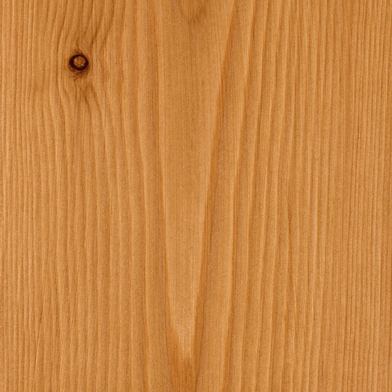 Larch
